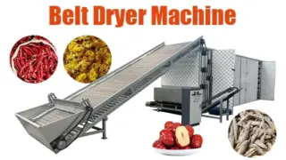Belt dryer machine