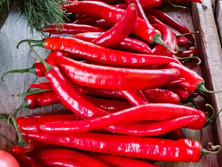 Chili