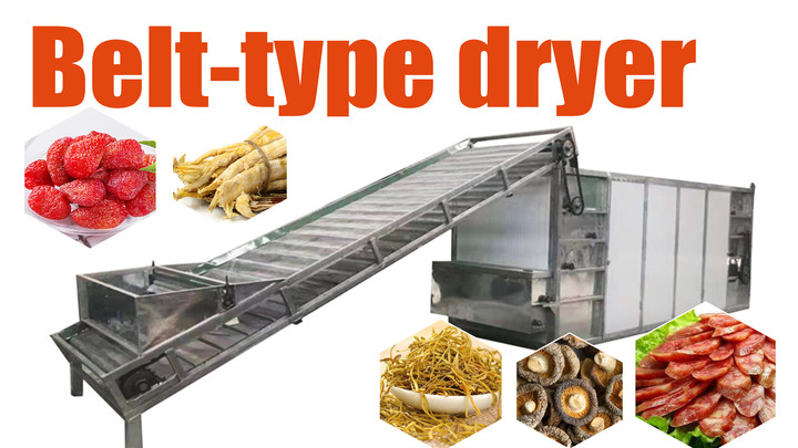 Belt type commercial fruit dryer
