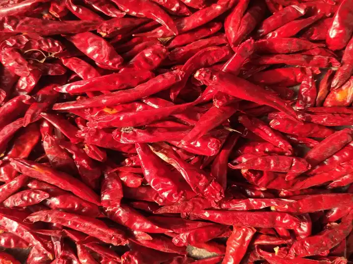 Getrocknetes Chili