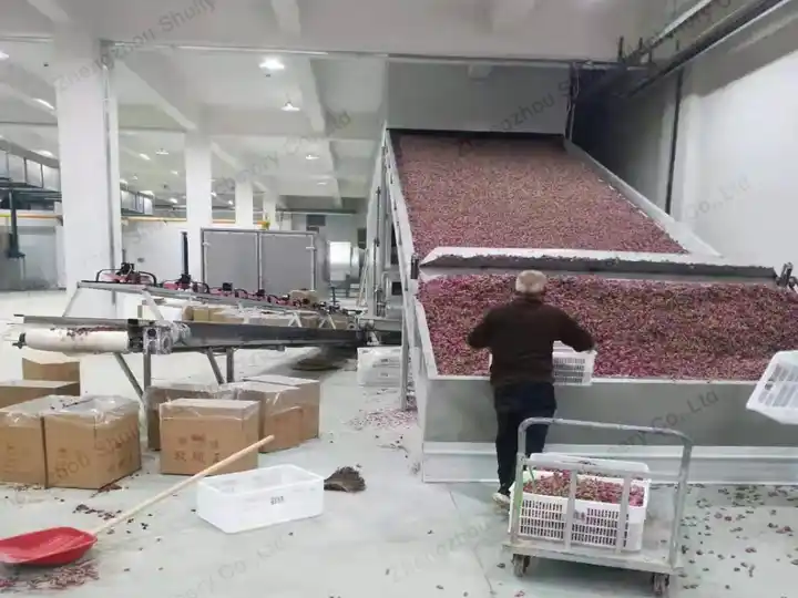 Fresh flower drying
