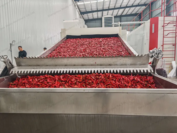 Mesh belt drying machine for chili peppers