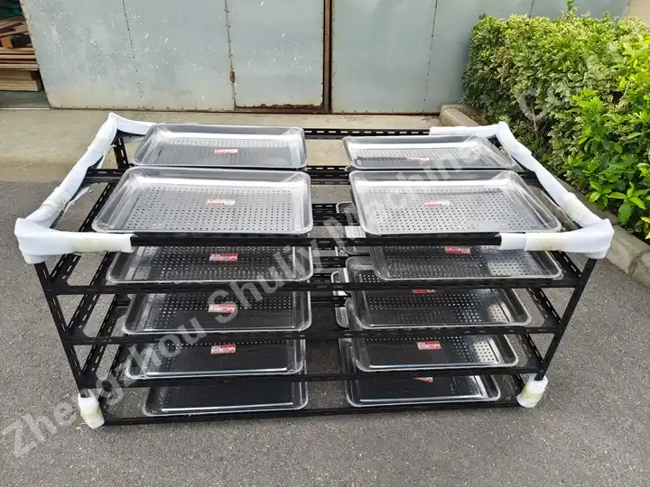 Solar Drying Machine | Solar Dehydrator | Solar Food Dryer 9 Stainless steel tray