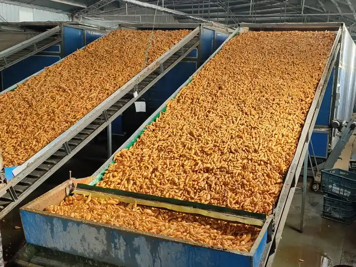 Vegetable drying