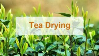 Herb tea dryer | Floral & Plants drying | Scented tea drying machine