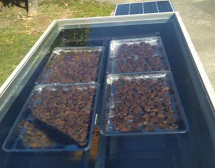 Dried beef in solar dryer