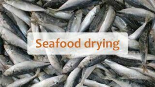 Fish dryer | Seafood drying machine | Dried fish processing machine