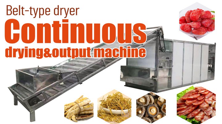 Continuous conveyor dryer