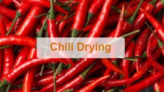 Chili dryer | Pepper drying equipment | Chili powder drying machine