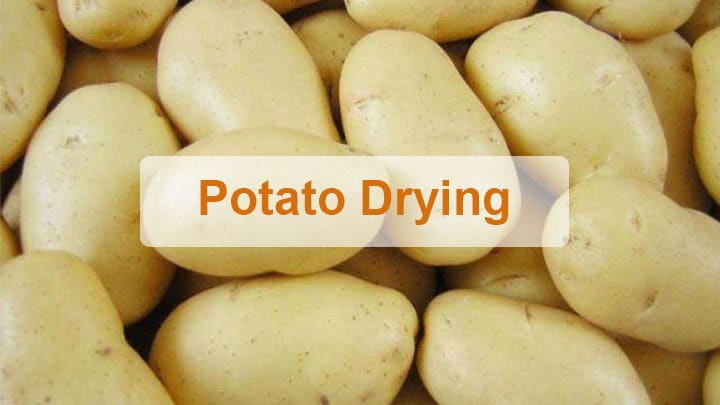 Potato drying