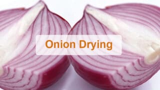 Onion dryer | Vegetable drying machine