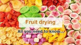 How to dry fruit with different dryers