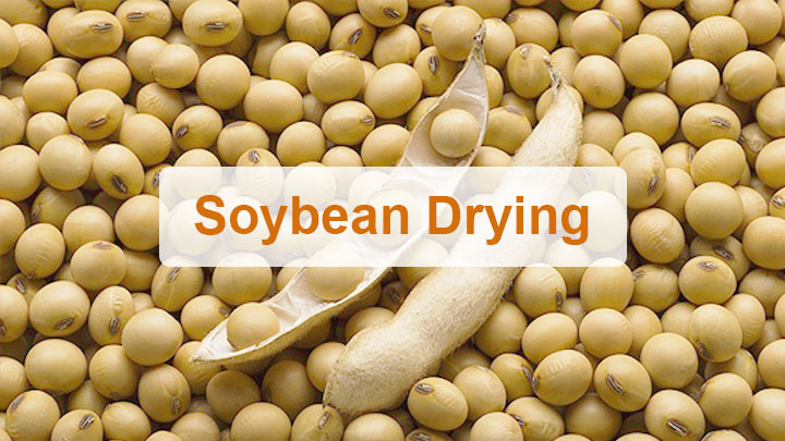 Cover-Soybean drying