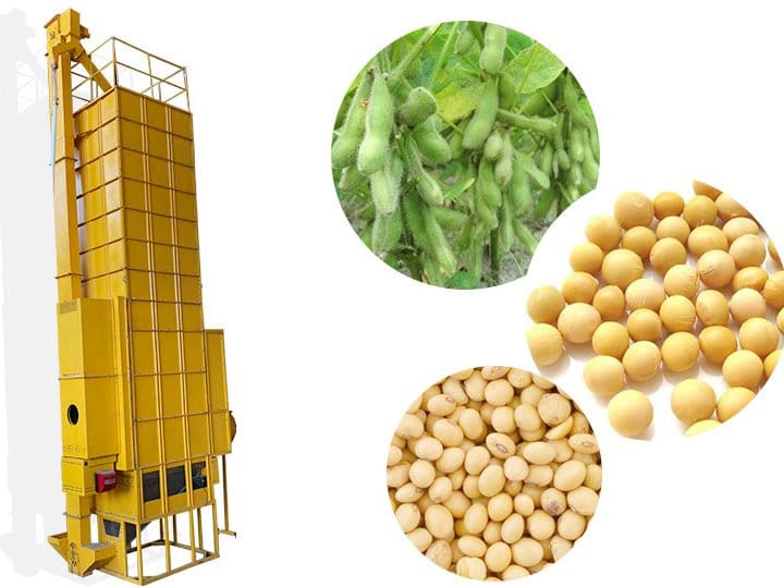 Soybean drying machine