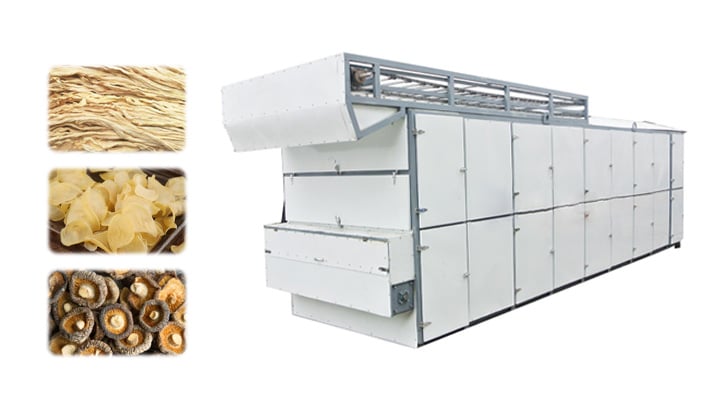 Continuous vegetable drying machine