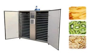 How about the fruit drying machine price in Sri Lanka?