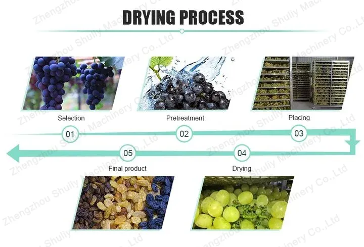 Processo de secagem de uva