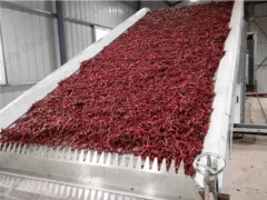 Machine à sécher le poivre à vendre