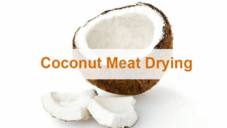 Coconut meat drying