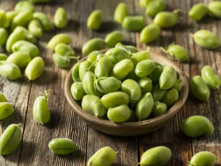Chickpea Drying Machine | Chickpea Dryer 3 Green chickpeas