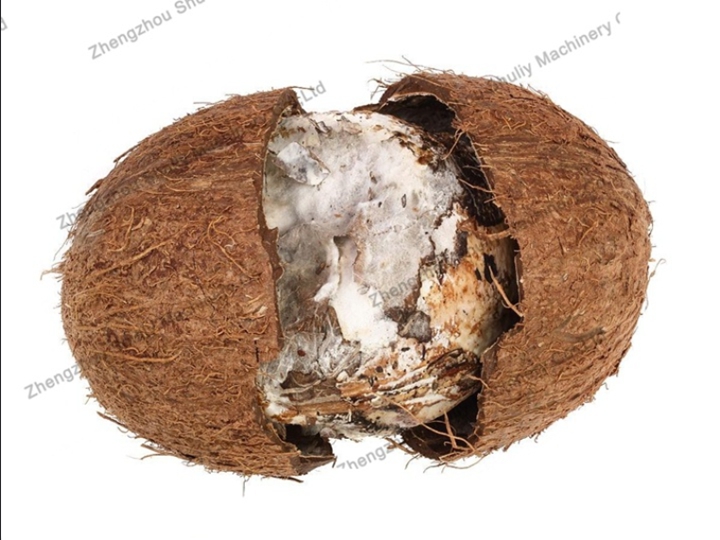 Coconut Meat Dryer Machine | Multifunctional Coconut Drying Room 2 Moldy coconut