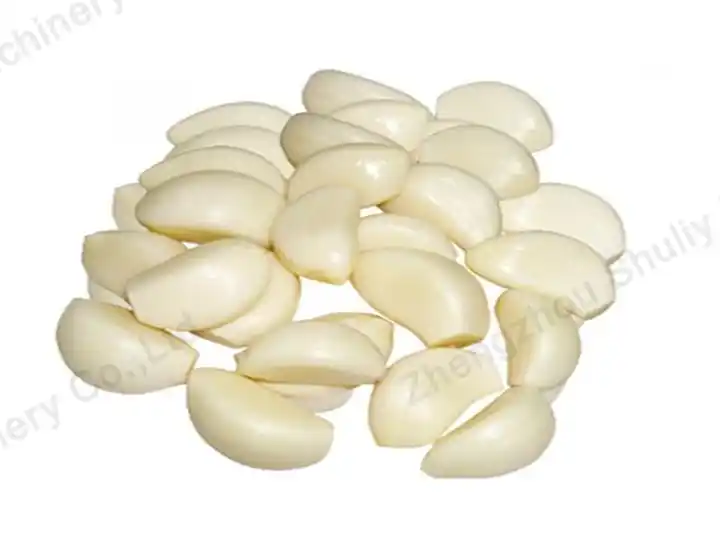 Garlic