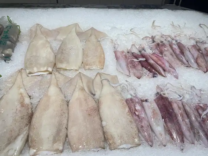 Squid drying