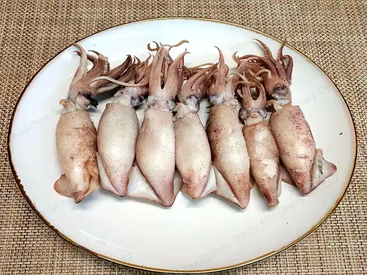 Squid
