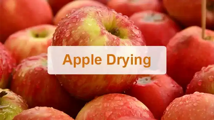 Lò sấy khô điện Apple 1 Máy sấy táo