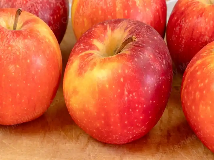 Lò sấy khô điện Apple 3 Quả táo