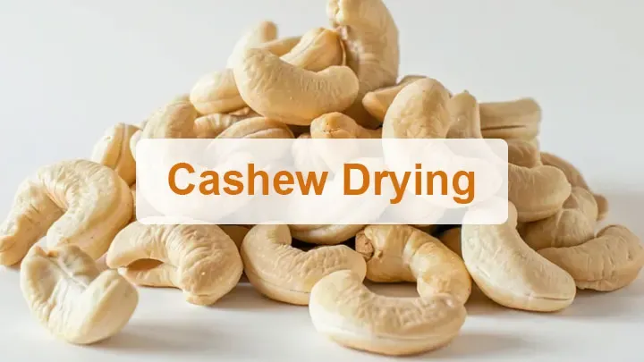 Cashewnötstorkning