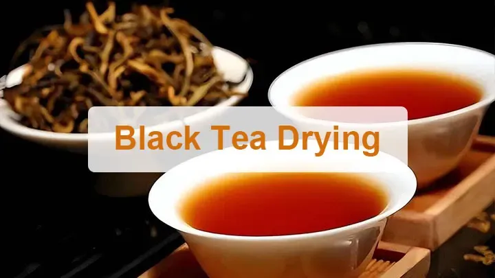 Black tea drying