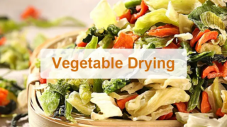 تجفيف الخضروات