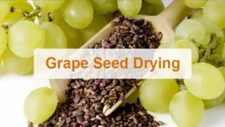 Grape seed drying