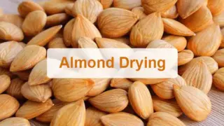 Asciugatura delle mandorle