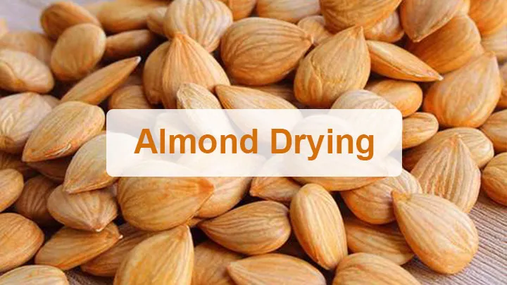 Inquiry Guide 13 Сушка миндаля