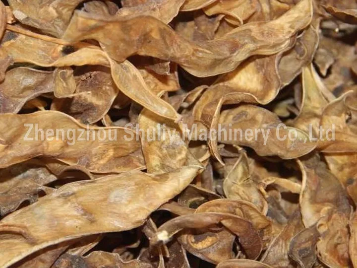 Dried lentil processing
