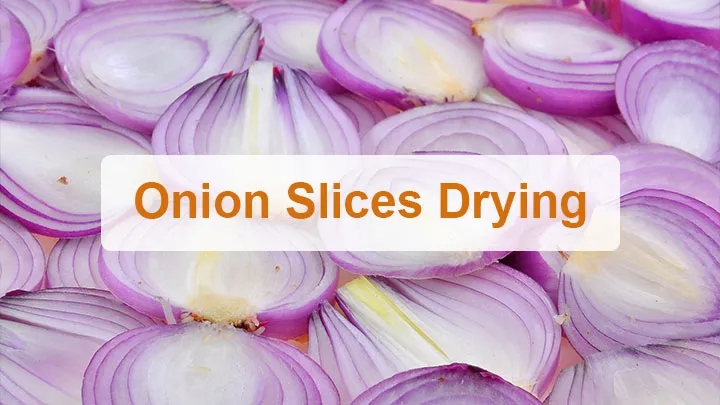 Onion slices drying