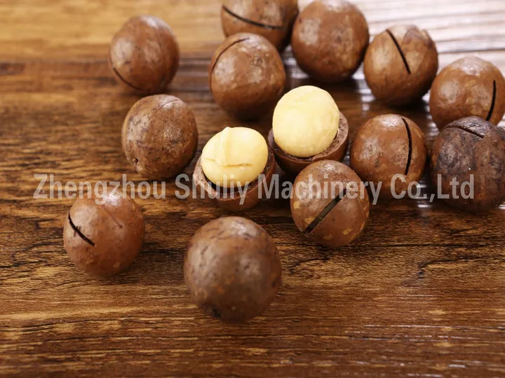 Macadamia Nut Drying Machine 9 Dried in-shell macadamia nuts